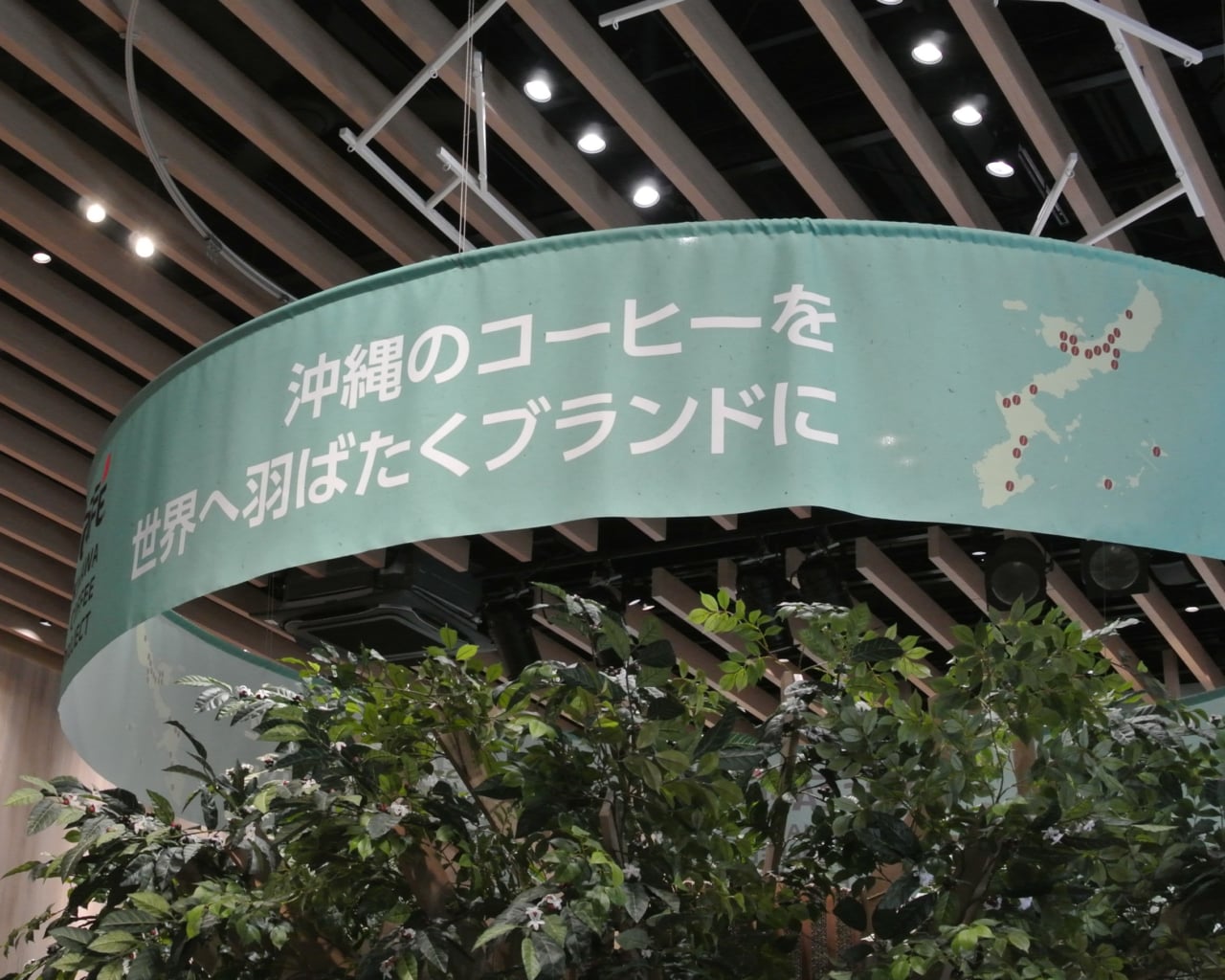 ネスカフェ, 沖縄コーヒー