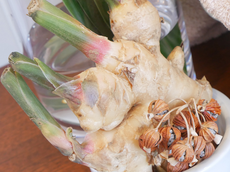 琉白 沖縄コスメ 入浴剤 成分